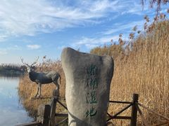 -溱湖国家湿地公园