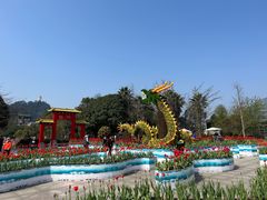 -南山植物园