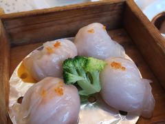 -龙悦湾酒家·八阵鱼生·渔人码头店