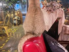 -咖法森林·咖啡  酒吧(天河店)