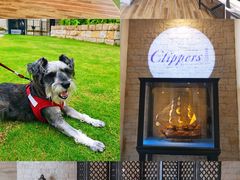 室外就餐区-南沙游艇会·大兵船餐厅