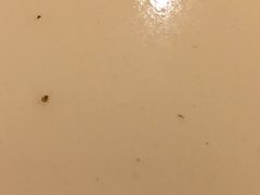 新聚丰菜馆-新聚丰菜馆(太监弄店)