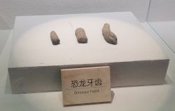 -卡森乐园