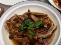-MR鹅外