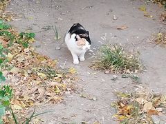 -美联众合24小时·皮肤科·外科·全科诊疗中心(华苑分院)
