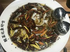 -太二酸菜鱼(福州泰禾店)