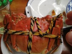 -喜洋洋蟹庄(阳澄湖店)