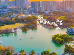-青枫公园