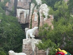 -蓬莱欧乐堡梦幻世界