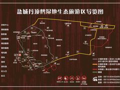 -盐城丹顶鹤湿地生态旅游区