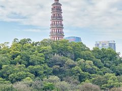 -顺峰山公园