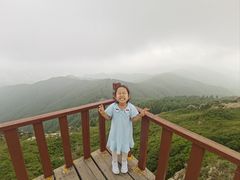 -苏木山森林公园