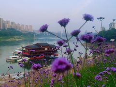 -石井坡(地铁站)