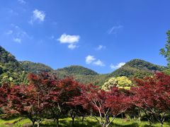-五泄景区
