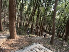 -上海佘山国家森林公园天马山园