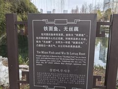 -包公祠