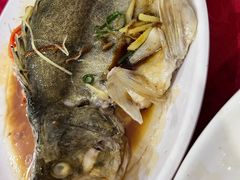 -稻香酒家·34年老字号(侨光店)