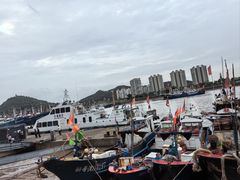 -沈家门渔港