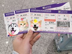 -郑州新郑国际机场