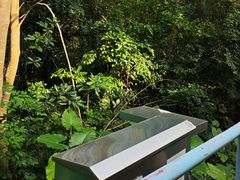 -深圳野生动物园