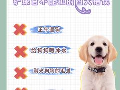 -贝利宠物医院·骨科·眼科·肿瘤转诊中心(南坪诊疗中心)