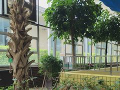 -南宫五洲植物乐园