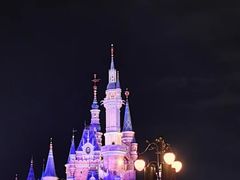 -上海迪士尼度假区