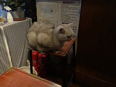 -不舍昼夜咖啡馆