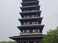 -宜兴龙背山森林公园