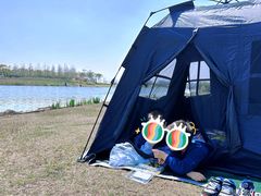 -春花秋色城市公园