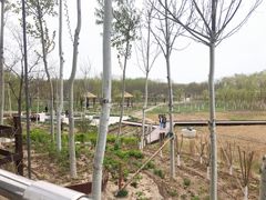 -西青郊野公园
