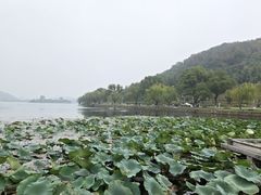 -南北湖风景区