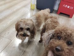 -FIGHTMAN格斗俱乐部(长宁临空店)