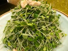 香椿苗核桃仁-大鸭梨烤鸭(左家庄店)
