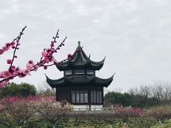 -上海海湾国家森林公园