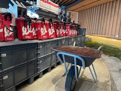 -Seesaw Coffee(朝阳大悦城店)