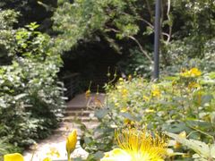 -西湖风景区-江洋畈生态公园