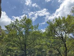 -楠溪江风景名胜区