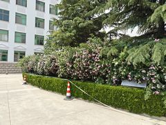 -哈尔滨工业大学(威海校区)