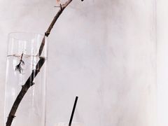 -野鸽子咖啡(中航店)