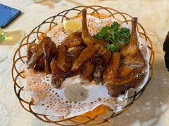 红烧乳鸽-一煲鸽
