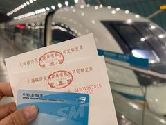 -龙阳路磁悬浮列车总站-停车场