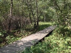 -五营红松林海景区