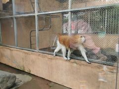 -宁波野生动物园