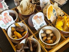 -菌自由丨野生菌火锅特色庭院餐厅(丽江古城店)