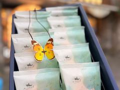 -好一朵茉莉花(老门东店)
