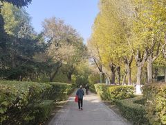 -靖宇公园