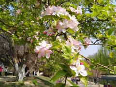 -元大都城垣遗址公园