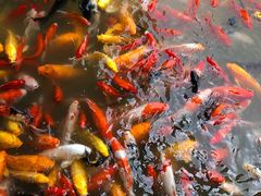 -泰安地下龙宫景区