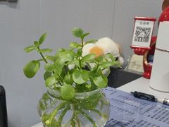 -田凤波推拿.按摩养生(幸福店)